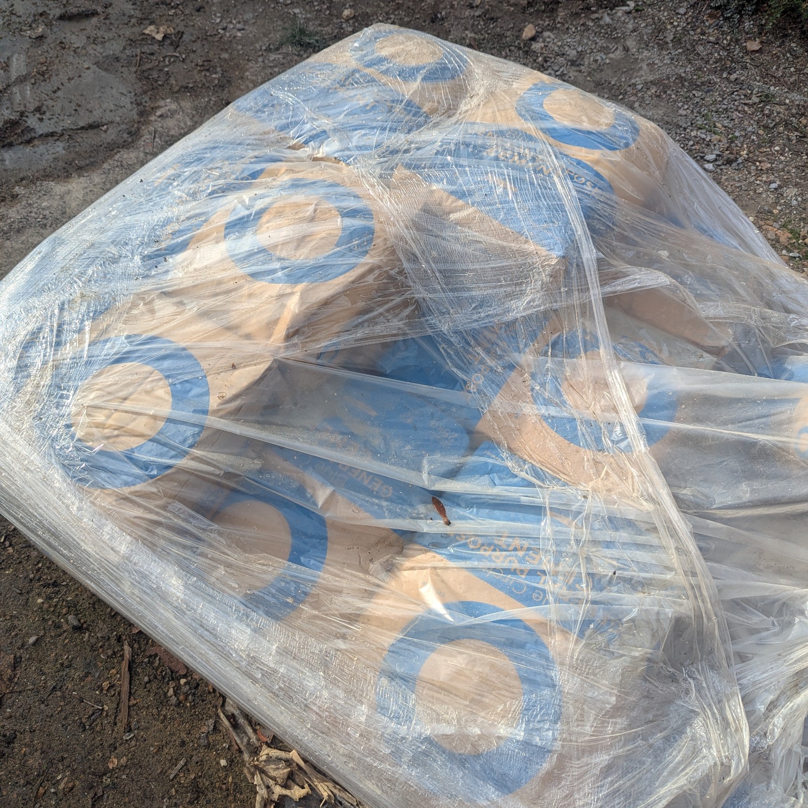 Blue circle GENERAL PURPOSE Cement